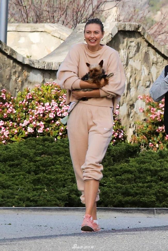 熊猫直播-莎拉波娃赛事官方发布赛事规则更新新规，日本队争议不断！的简单介绍